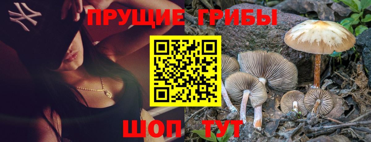 Галлюциногенные грибы Psilocybine cubensis  Вход с VPN  Йошкар-Ола 