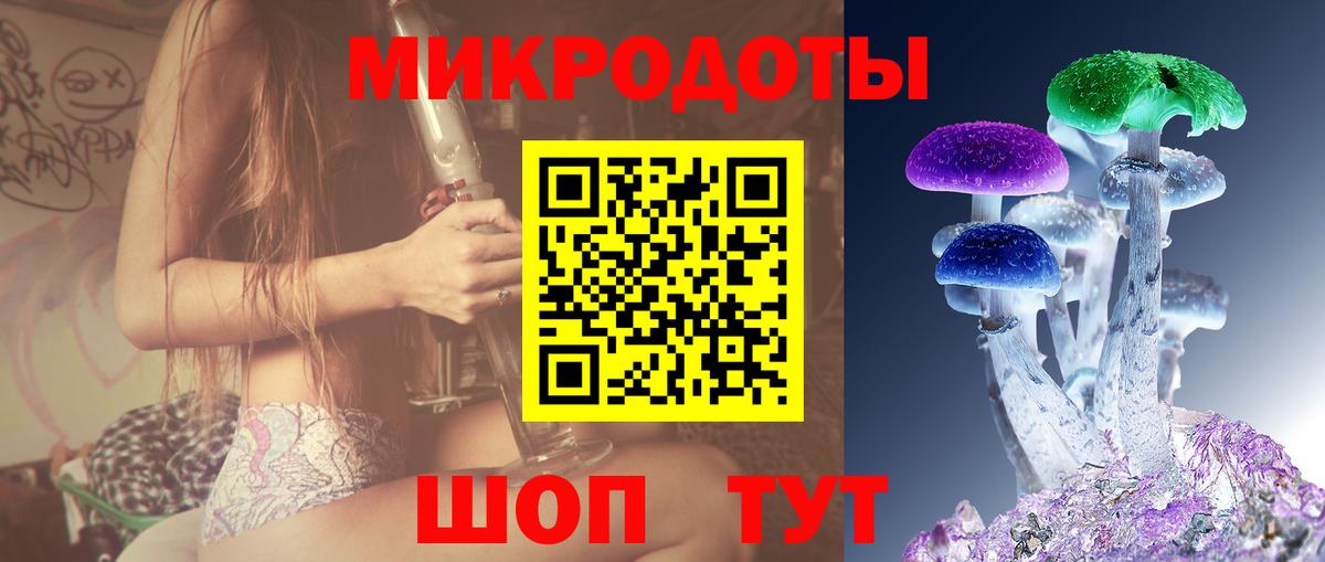 Псилоцибиновые грибы мицелий Йошкар-Ола